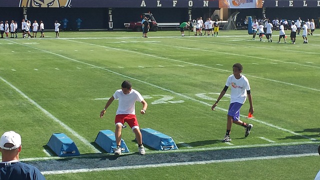 价格不菲 价格不菲