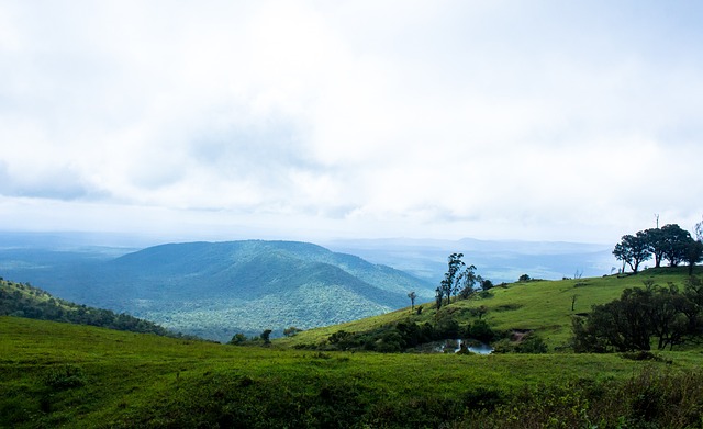 队的战斗力 队的战斗力