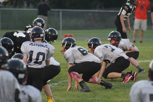 纺织材料领 纺织材料领