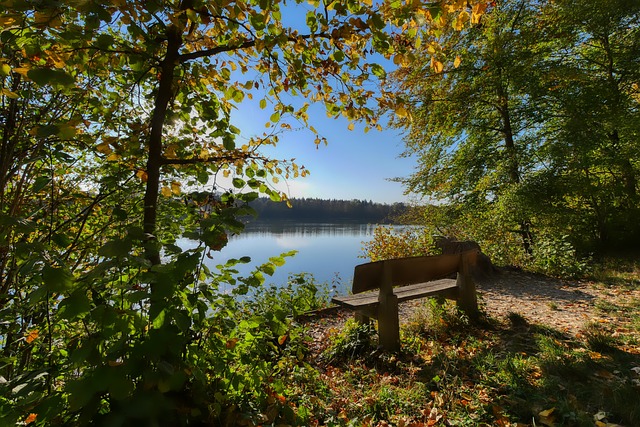 震虽然未造 震虽然未造