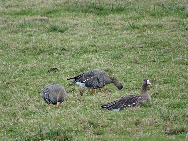 体育世界 体育世界